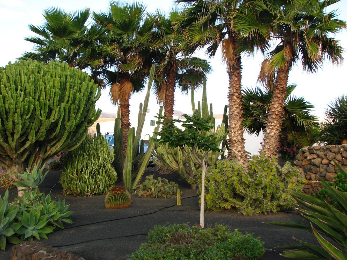 Casa Para Ti - Botanica Puerto del Carmen  Exteriör bild